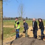 Bierstadt Nord erhält zentrale Grünanlage mit 83 neu gepflanzten Bäumen