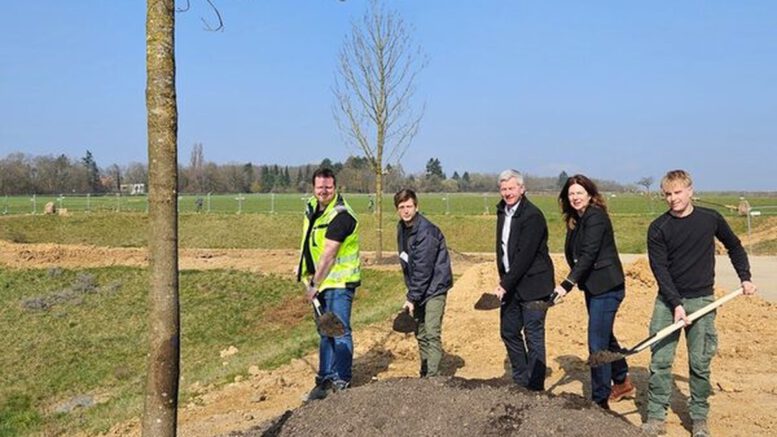 Bierstadt Nord erhält zentrale Grünanlage mit 83 neu gepflanzten Bäumen