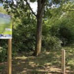 Neue Stationen für Vögel Fledermäuse und Bilche in Mainz Mombach
