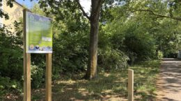 Neue Stationen für Vögel Fledermäuse und Bilche in Mainz Mombach